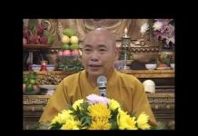 Lời Nói Chân Thật Phần 3 – Thích Viên Giác loi noi chan that phan 3 thich v