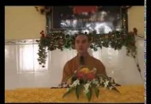 Lỗi tại ai – Thích Thiện Tuệ loi tai ai thich thien tue