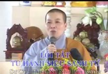 Lối Tắt Tu Hành Siêu Sanh Tử – Thích Nữ Như Lan loi tat tu hanh sieu sanh tu thi