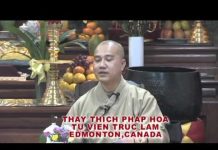 Lòng Từ Vô Ngại 2 – Thích Pháp Hòa long tu vo ngai 2 thich phap hoa