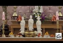 Lòng Từ Vô Ngại 3 – Thích Pháp Hòa long tu vo ngai 3 thich phap hoa