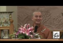 Lòng Từ Vô Ngại 9 – Thích Pháp Hòa long tu vo ngai 9 thich phap hoa