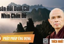 Luân Hồi Dưới Cái Nhìn Chân Đế – Thích Nhất Hạnh luan hoi duoi cai nhin chan de t