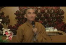 Luân Hồi – Thích Thiện Tuệ luan hoi thich thien tue