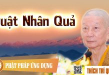 Luật Nhân Quả – Thích Trí Quảng luat nhan qua thich tri quang