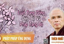 Luật Tạng Đồng Diệp Bộ Và Pháp Tạng Bộ – Thích Nhất Hạnh luat tang dong diep bo va phap t