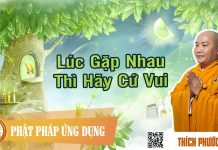 Lúc Gặp Nhau Thì Hãy Cứ Vui – Thích Phước Tiến luc gap nhau thi hay cu vui thic