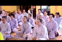 Lục Hòa Và Hòa Hợp – Thích Trí Huệ luc hoa va hoa hop thich tri hue
