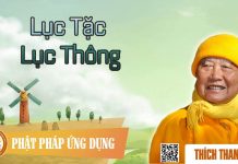 Lục Tặc Lục Thông – Thích Thanh Từ luc tac luc thong thich thanh tu