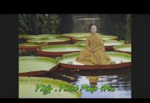 Lưỡi Kiếm Văn Thù – Thích Pháp Hòa luoi kiem van thu thich phap hoa