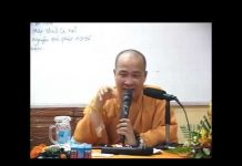 Lượt Sử Đức Phật A Di Đà Và 48 Đại Nguyện – Thích Trí Huệ luot su duc phat a di da va 48 d