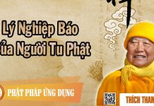Lý Nghiệp Báo Của Người Tu Phật – Thích Thanh Từ ly nghiep bao cua nguoi tu phat