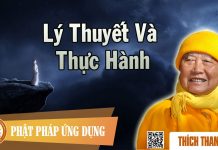 Lý Thuyết Và Thực Hành – Thích Thanh Từ ly thuyet va thuc hanh thich tha