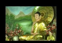 Lý Tưởng Bồ Tát – Thích Bửu Chánh ly tuong bo tat thich buu chanh