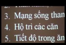 Mã Ấp Đại Kinh – Thích Tâm Đức ma ap dai kinh thich tam duc
