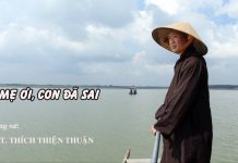 Mẹ Ơi Con Đã Sai – Thích Thiện Thuận me oi con da sai thich thien thu