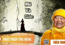 Mê Và Giác – Thích Thanh Từ me va giac thich thanh tu