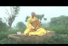 Milarepa – Lời Di Chúc – Thích Minh Thành milarepa loi di chuc thich minh