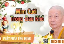 Mỉm Cười Trong Đau Khổ – Thích Trí Quảng mim cuoi trong dau kho thich tri