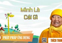 Mình Là Cái Gì – Thích Thanh Từ minh la cai gi thich thanh tu