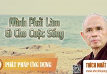 Mình Phải Làm Gì Cho Cuộc Sống – Thích Nhất Hạnh minh phai lam gi cho cuoc song t