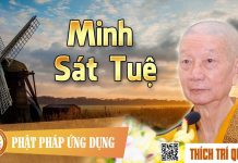 Minh Sát Tuệ – Thích Trí Quảng minh sat tue thich tri quang