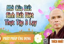 Mở Cửa Bất Sinh Bất Diệt – Thực Tập 3 Lạy – Thích Nhất Hạnh mo cua bat sinh bat diet thuc ta
