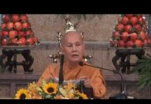 Một Chút Tình Người – Thích Nữ Tâm Tâm mot chut tinh nguoi thich nu tam