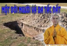 Một Đời Người Và Ba Tấc Đất – Thích Thiện Tuệ mot doi nguoi va ba tac dat thic