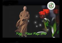 Một Nén Tâm Hương – Thích Pháp Hòa mot nen tam huong thich phap hoa