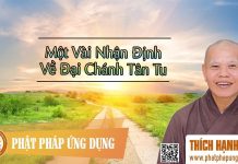 Một Vài Nhận Định Về Đại Chánh Tân Tu – Thích Hạnh Bình mot vai nhan dinh ve dai chanh t