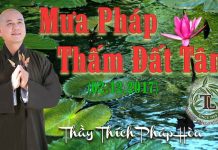 Mưa Pháp Thấm Đất Tâm – Thích Pháp Hòa mua phap tham dat tam thich phap