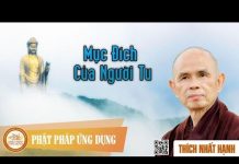 Mục Đích Của Người Tu – Thích Nhất Hạnh muc dich cua nguoi tu thich nhat