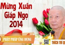 Mừng Xuân Giáp Ngọ 2014 – Thích Trí Quảng mung xuan giap ngo 2014 thich tr