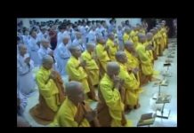 Mừng Xuân Mậu Tý 2008 – Thích Chân Tính mung xuan mau ty 2008 thich chan