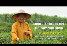 Mười Giá Trị Đạo Đức Cứu Vớt Cuộc Sống – Thích Nhật Từ muoi gia tri dao duc cuu vot cuo