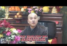Mười Hai Duyên Khởi phần 2 – Thích Pháp Hòa muoi hai duyen khoi phan 2 thich