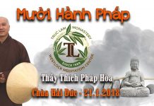 Mười Hành Pháp – Thích Pháp Hòa muoi hanh phap thich phap hoa