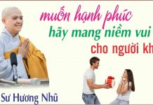 Muốn Có Hạnh Phúc Hãy Đem Niềm Vui An LẠc Cho Người Khác – Thích Nữ Hương Nhũ muon co hanh phuc hay dem niem v