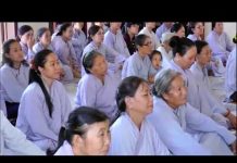 Muốn Tu Tịnh Độ Bắt Đầu Từ Đâu – Thích Trí Huệ muon tu tinh do bat dau tu dau t