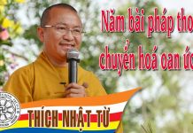 Năm bài pháp thoại chuyển hoá oan ức 1 – Thích Nhật Từ – 01/12/2004 nam bai phap thoai chuyen hoa oa
