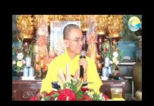 Năm Bính Thân Nói Chuyện Khỉ – Thích Thiện Tuệ nam binh than noi chuyen khi thi