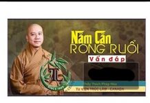 Năm Căn Rong Ruổi (Vấn Đáp) – Thích Pháp Hòa nam can rong ruoi van dap thich