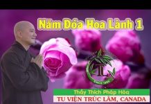 Năm Đóa Hoa Lành 1 – Thích Pháp Hòa nam doa hoa lanh 1 thich phap ho