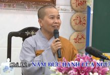 Năm đức hạnh của người xuất gia – Thích Nữ Như Lan nam duc hanh cua nguoi xuat gia