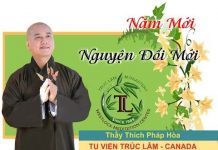 Năm Mới Nguyện Đổi Mới – Thích Pháp Hòa nam moi nguyen doi moi thich pha