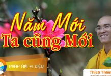 Năm Mới Ta Cũng Mới – Thích Thiện Tuệ nam moi ta cung moi thich thien