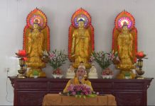 Năm Năm Sáu Tháng Bảy Ngày – Thích Thiện Tuệ nam nam sau thang bay ngay thich