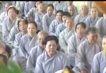 Năm Ngựa Kể Chuyện Ngựa – Thích Nữ Như Lan nam ngua ke chuyen ngua thich nu