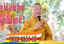 Năm pháp thoại chuyển hoá oan ức 3 – Thích Nhật Từ – 18/12/2004 nam phap thoai chuyen hoa oan uc 1